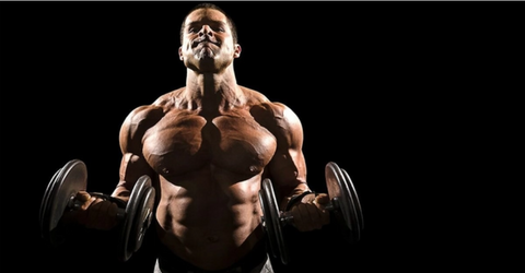 5 EXERCICES POUR MUSCLER LES BICEPS
