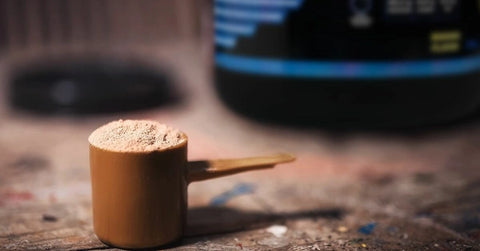 L'APPORT OPTIMAL EN PROTÉINES