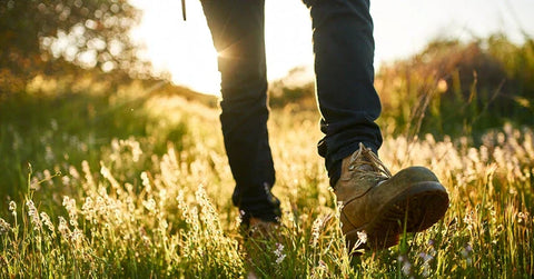 TOUT CE QU'IL FAUT SAVOIR SUR LA MARCHE